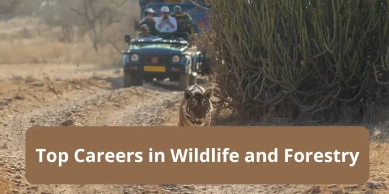 top careers in wildlife and forestry
